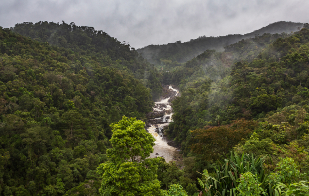 Day 6: Travel to Ranomafana