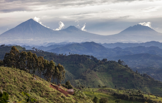 Day 2: Travel to Volcanoes National Park & visit Dian fossey campus