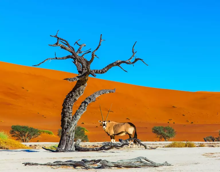 Namibia