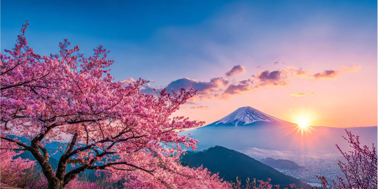 World. Wide. Travel Sale