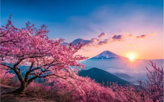 WORLD. WIDE. TRAVEL SALE 