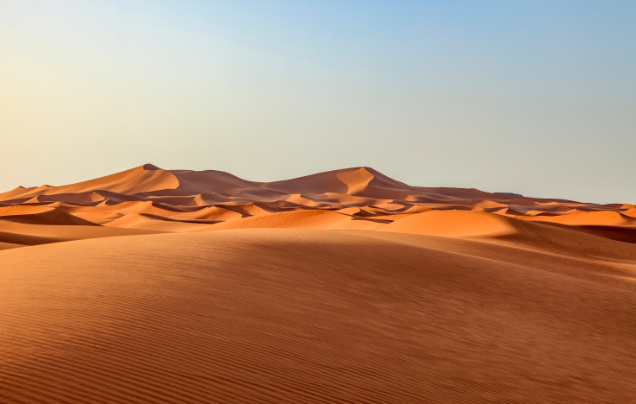 Day 7: Into the Desert