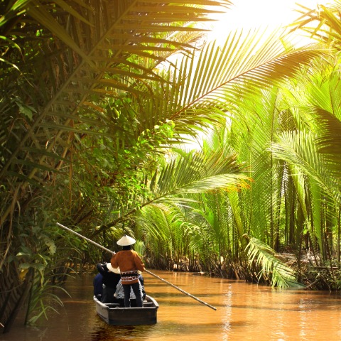 Mekong Delta