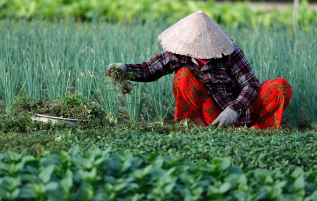 Day 12 Tra Que Village