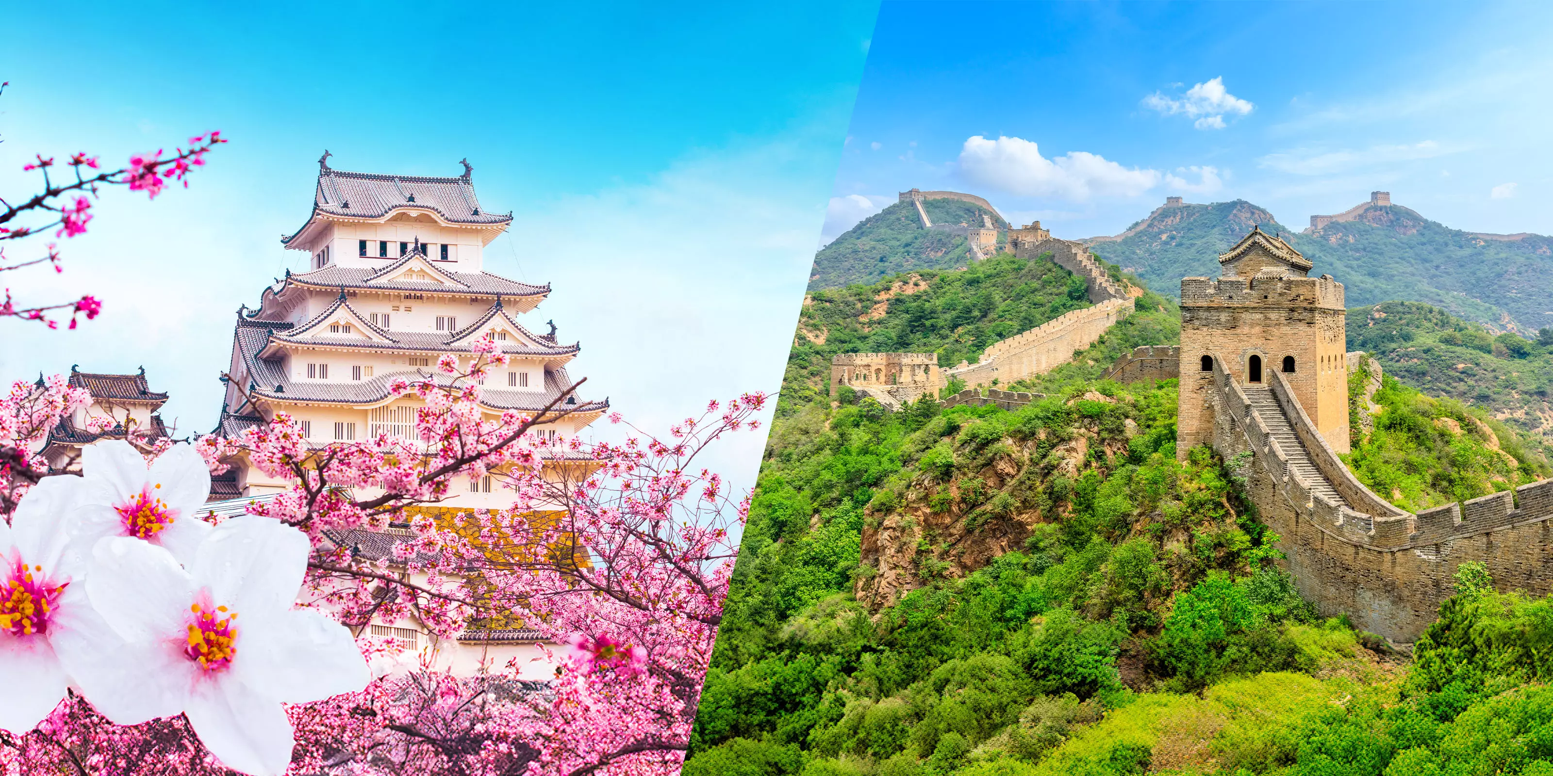 Fly FREE or 50% off Airfares