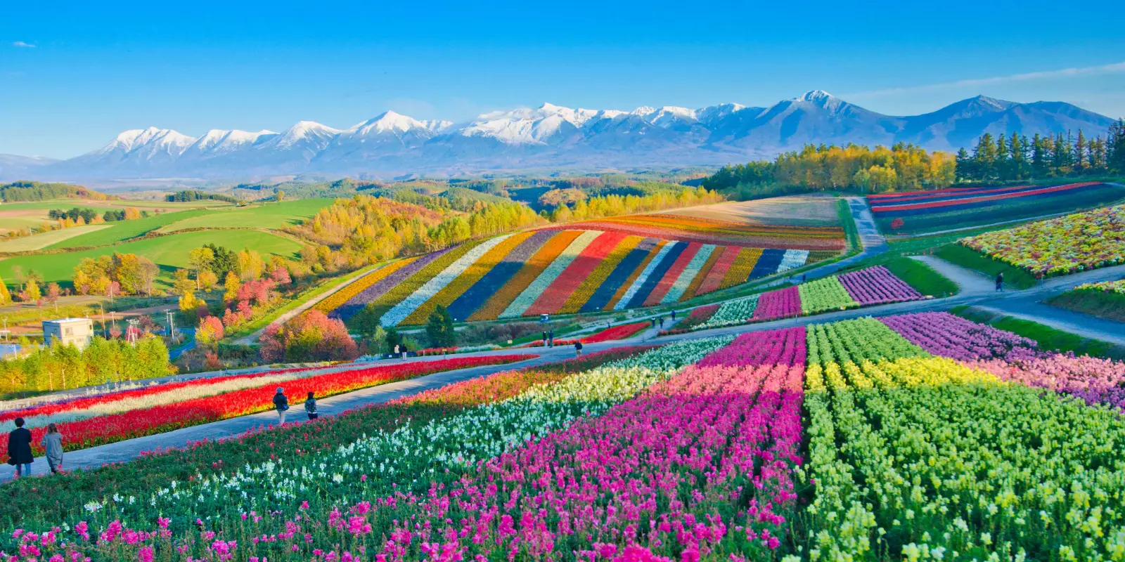 Northern Japan: Secrets of Hokkaido