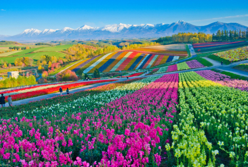 Northern Japan: Secrets of Hokkaido