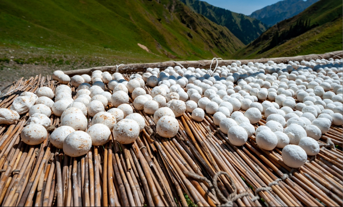 Day 15: Journey to Karakol