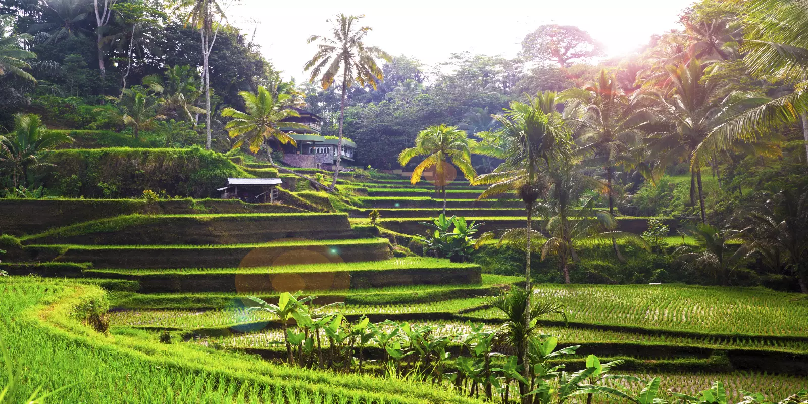 Angkor to Bali