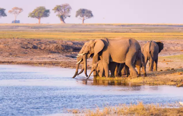 Ultimate Africa: Ocean, Rail & Safari