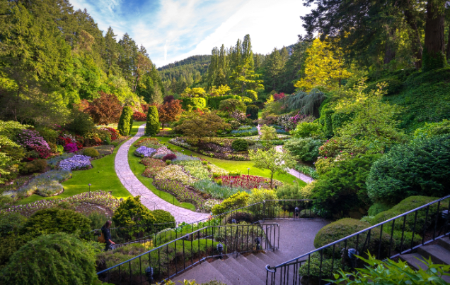 Day 6: Explore Vancouver Island