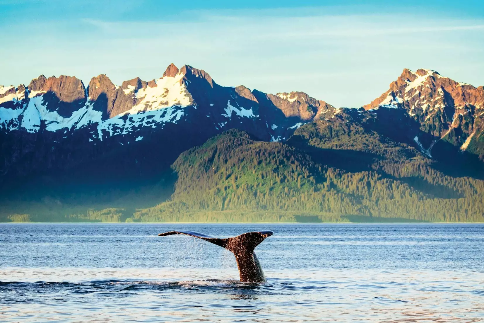 Tokyo, Alaska & Seattle