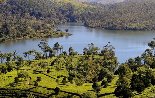 Day 10: Travel to Thekkady
