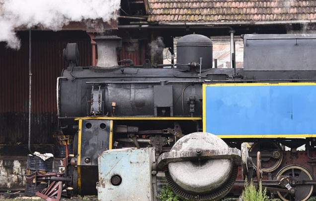 Day 7: Narrow Gauge Railway