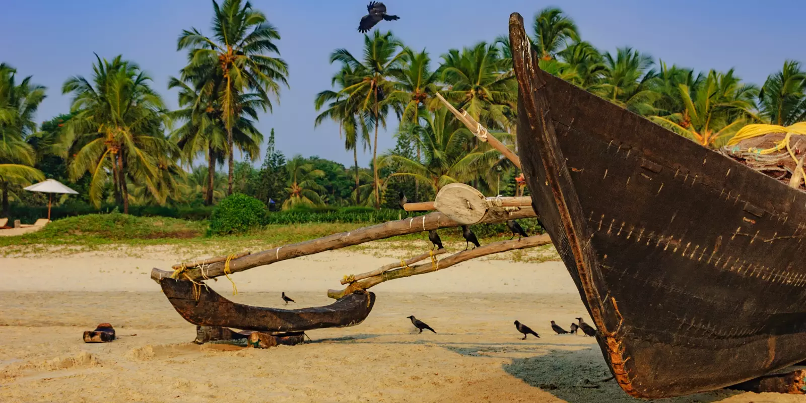 India Explored & Goa Beach