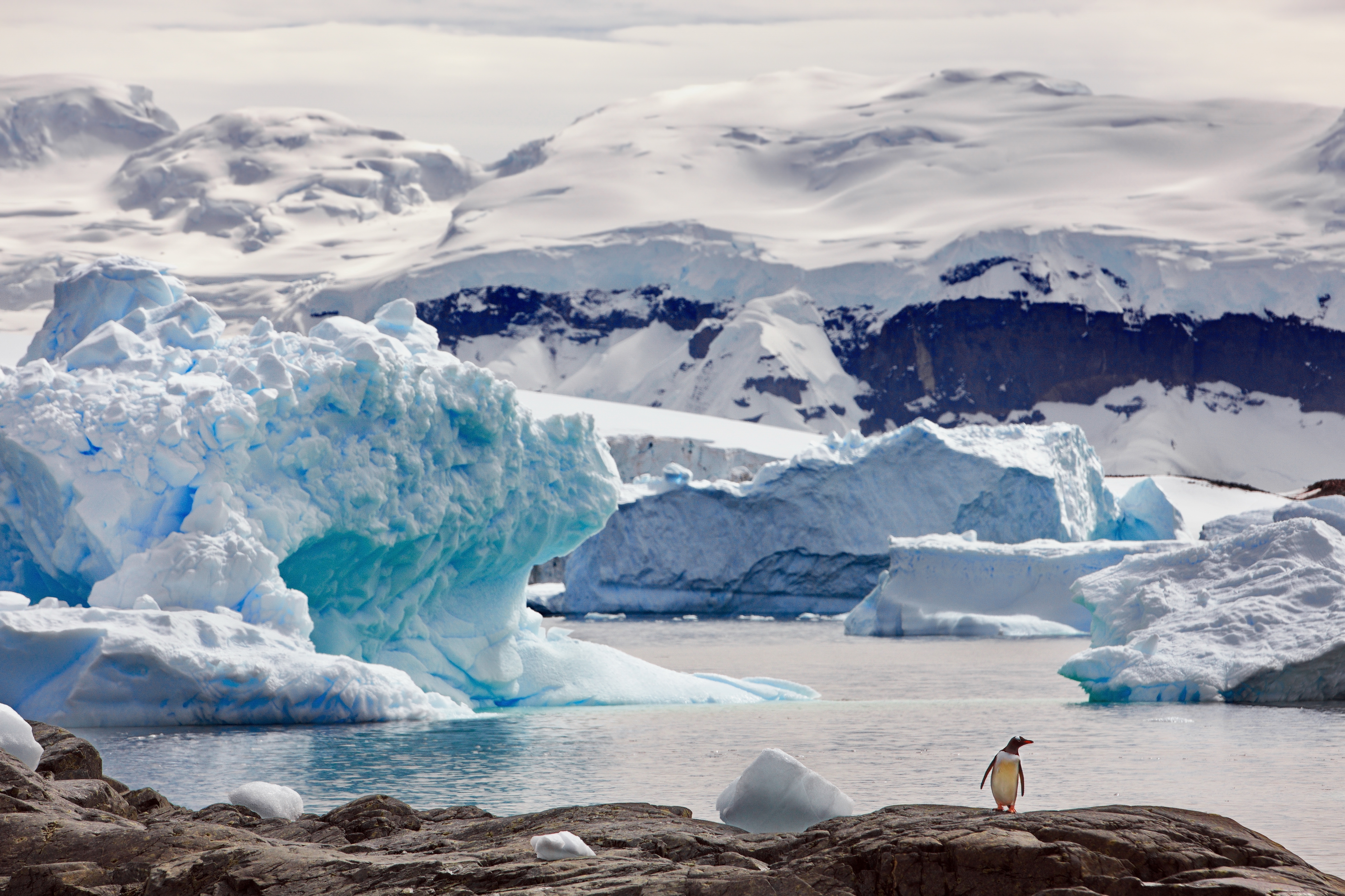 Day 15: Cruise – Elephant Island
