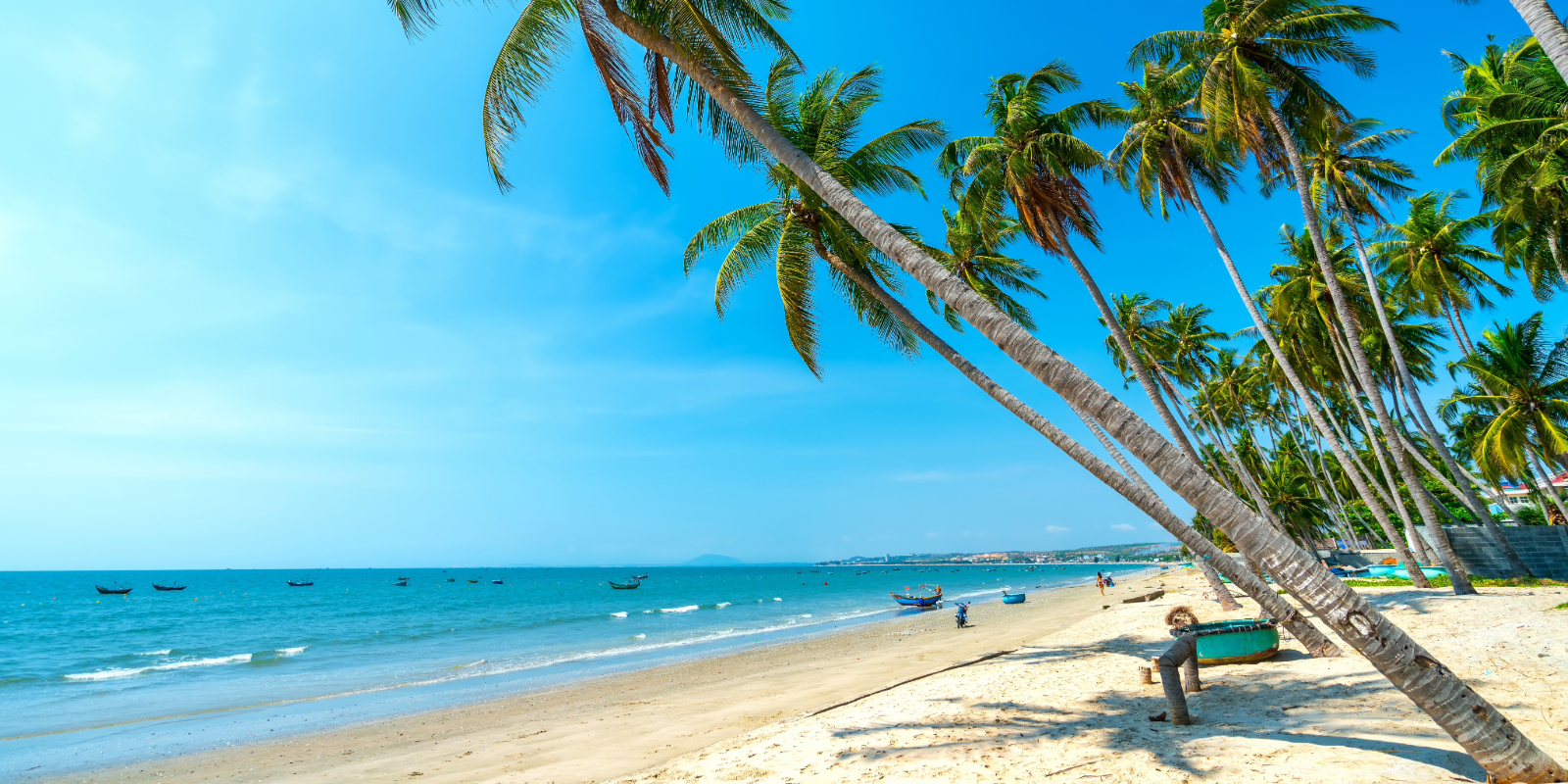 Group Tour & Independent Beach Stay