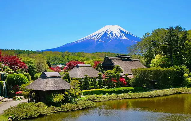 Day 12: Mt Fuji - Tokyo