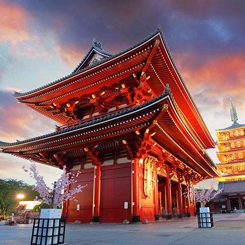 Day 2: Explore Tokyo
