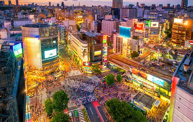 Day 1: Arrive Tokyo