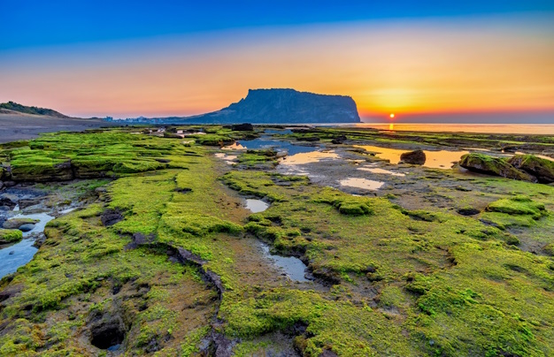 Day 10-11: Explore Jeju