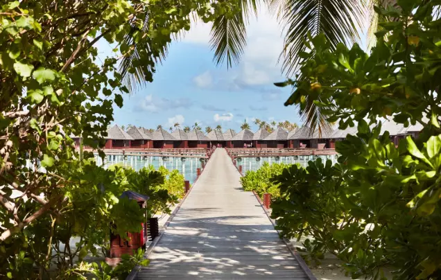 Days 9-12: Maldives at Leisure