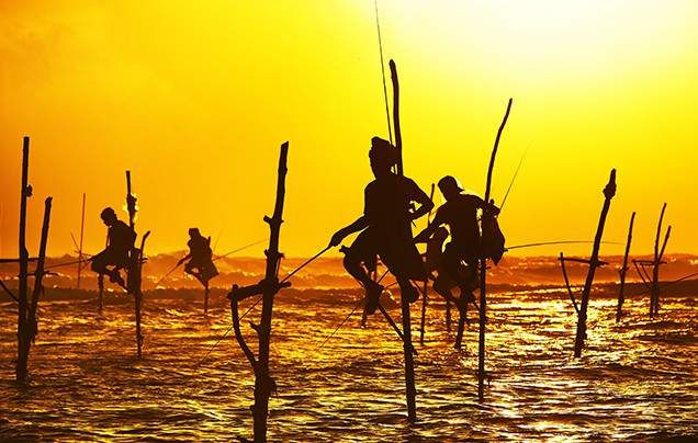 Day 11: Travel to Galle