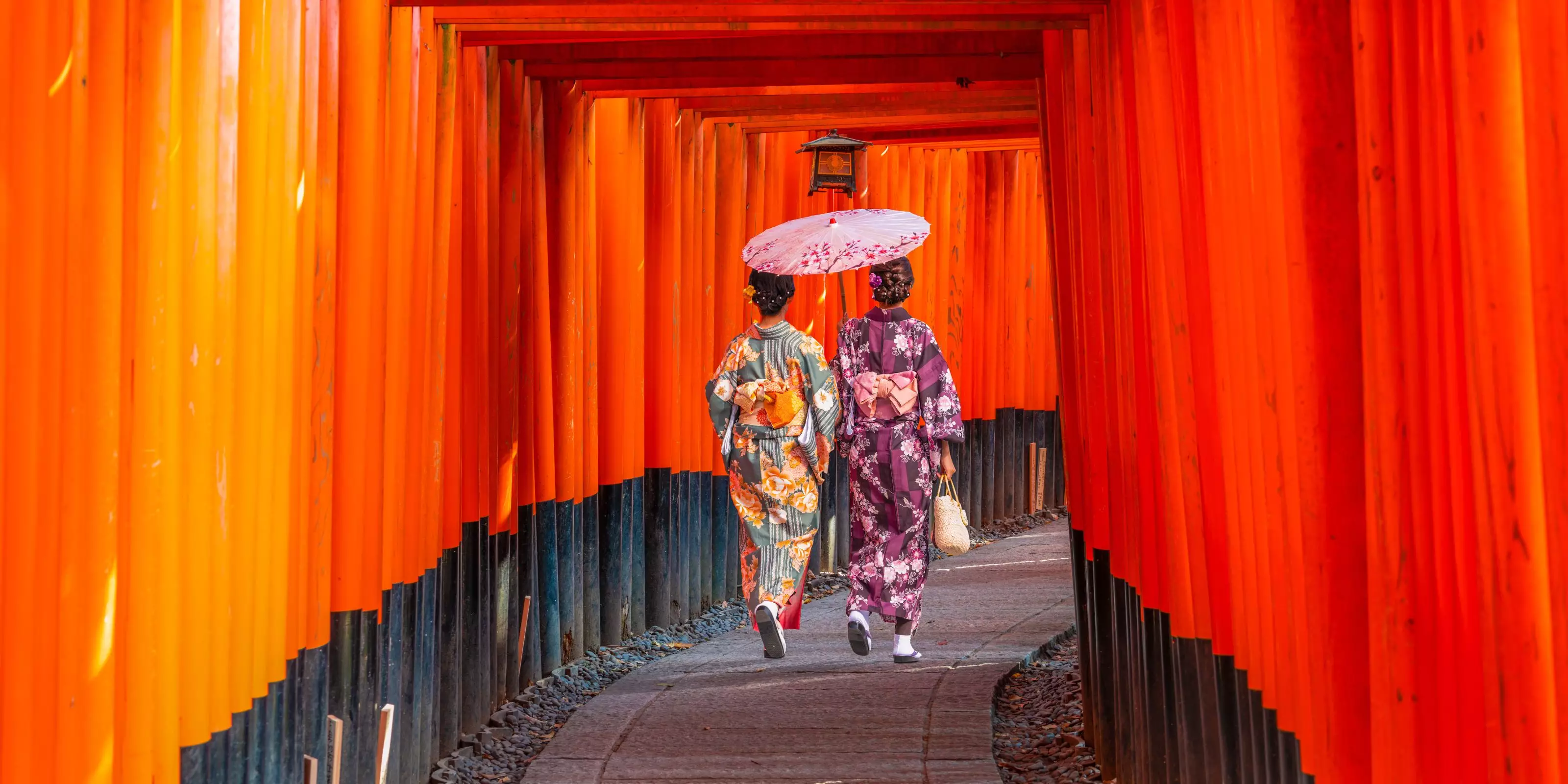 New Japan 2026-28 Brochure out now