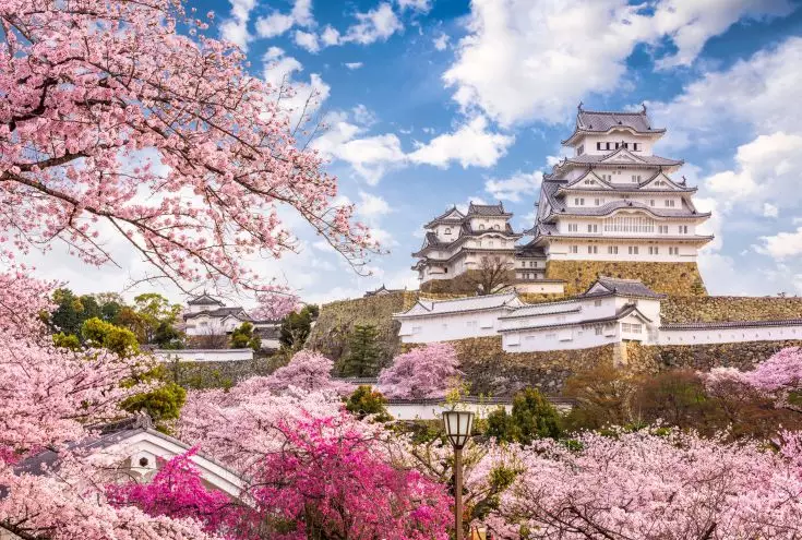 Japan in all Seasons