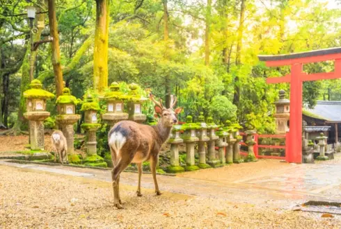 Nara