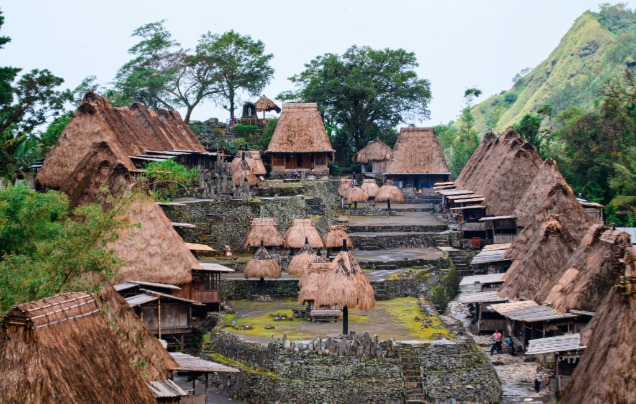 Day 16: Bajawa