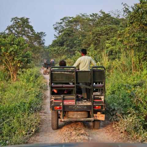 Chitwan National Park