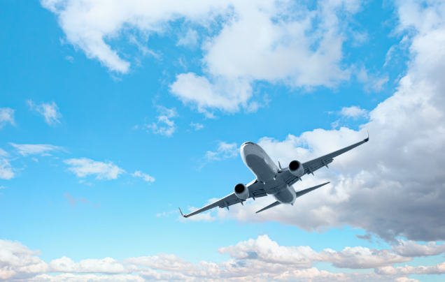 Days 17-18: Fly Home