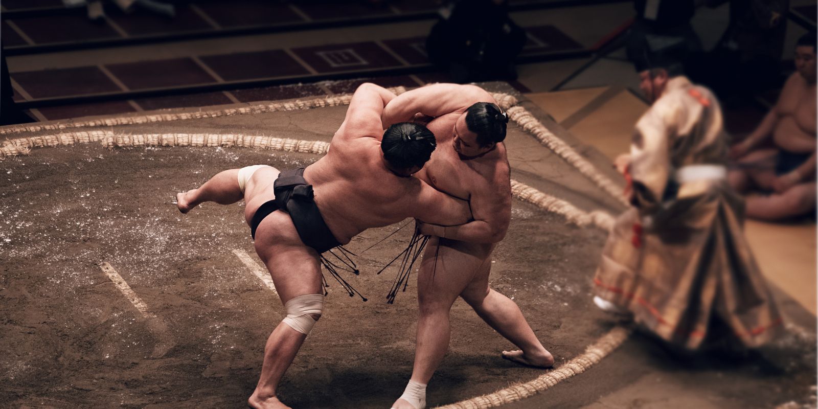 Sumo Wrestling - Tokyo & Fukuoka