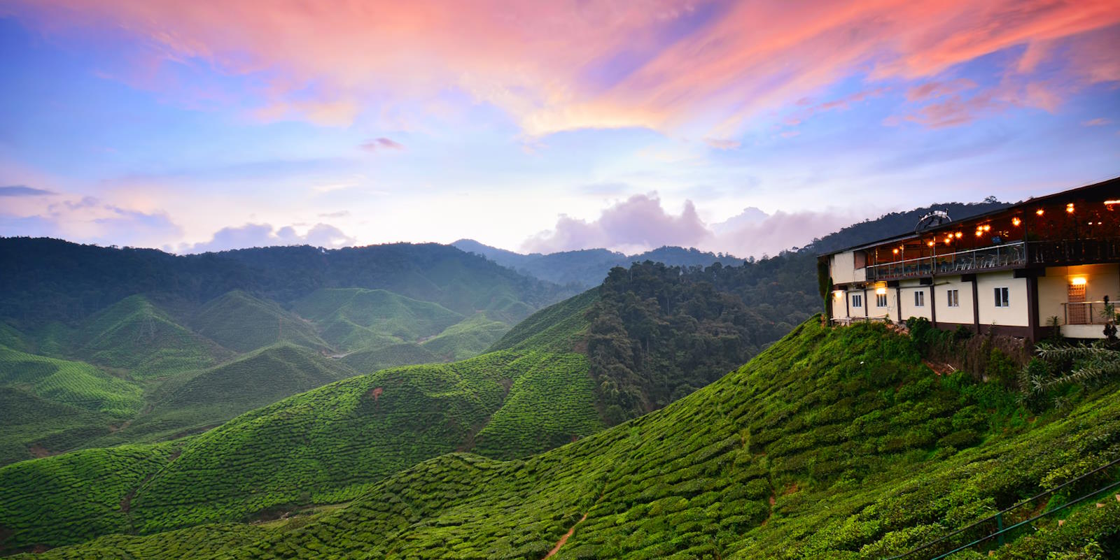 Cameron Highlands