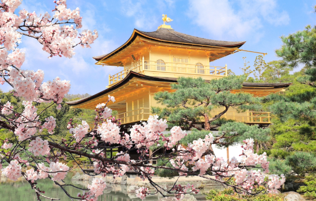 Day 10: Kyoto: Bonsai, Temples and Tea Ceremonies
