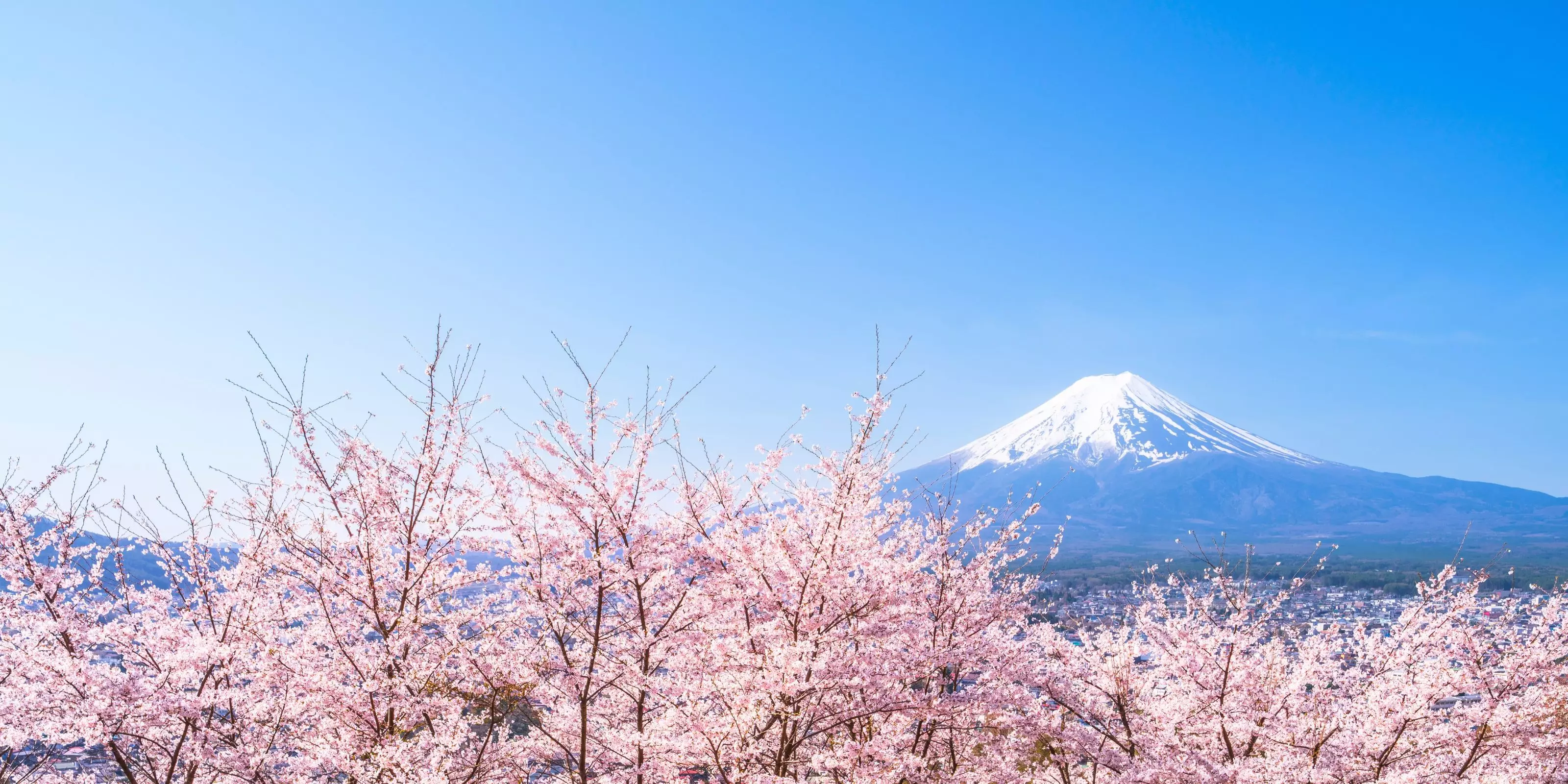 Spring Travel Sale