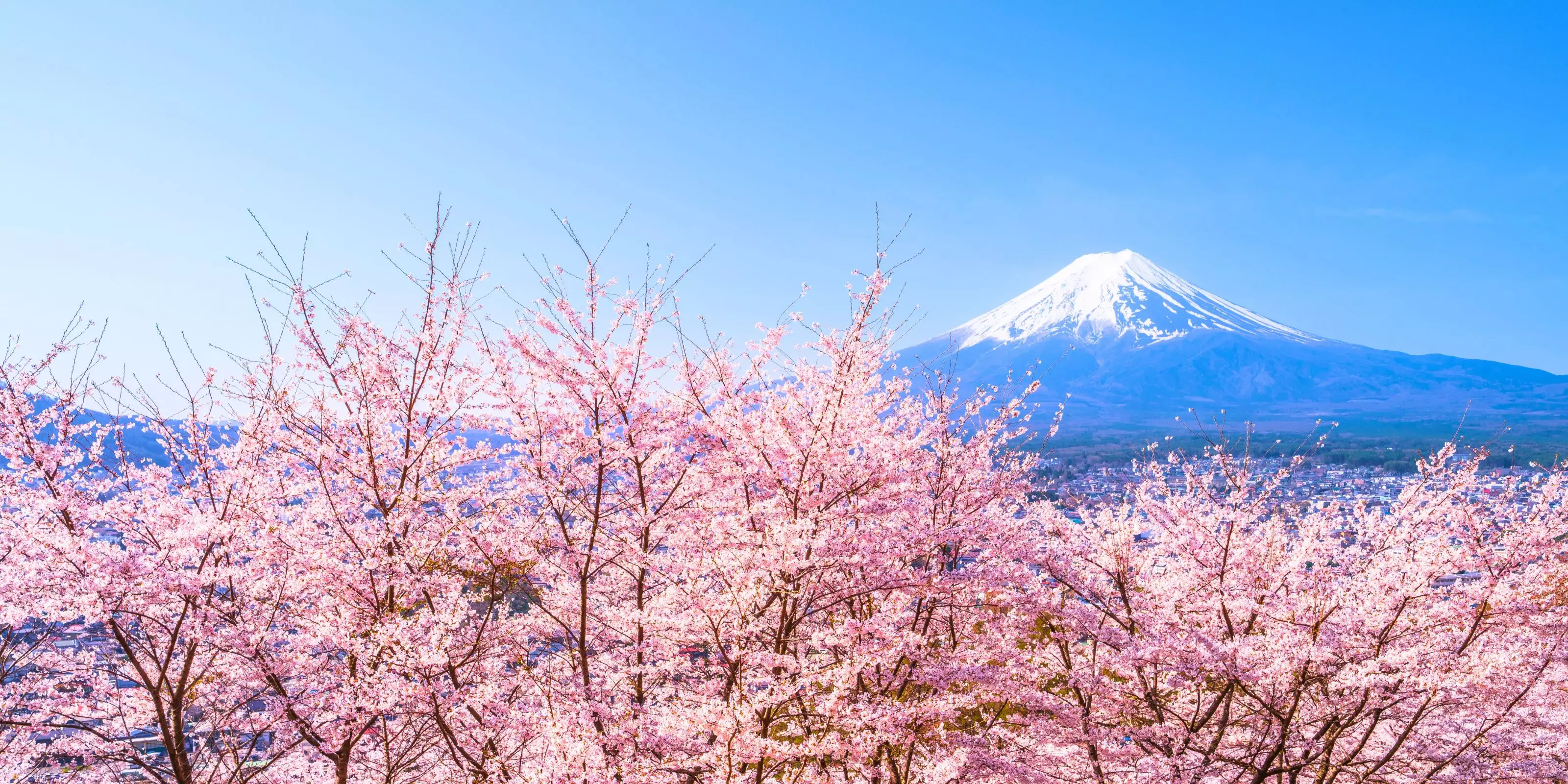 Spring Travel Sale