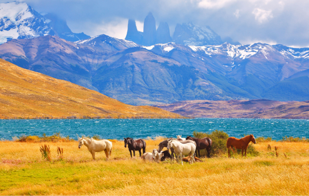 Day 9: Torres del Paine