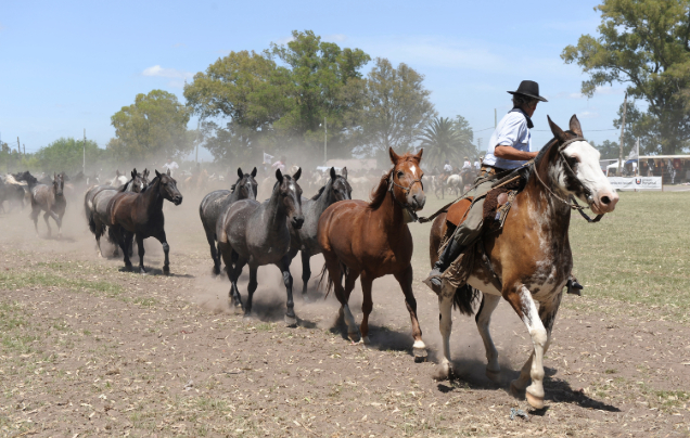 Day 12: El Calafate (A Day on a Gaucho Estancia)