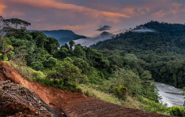 Day 11: Sarapiquí