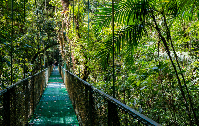 Day 15: Discover Monteverde