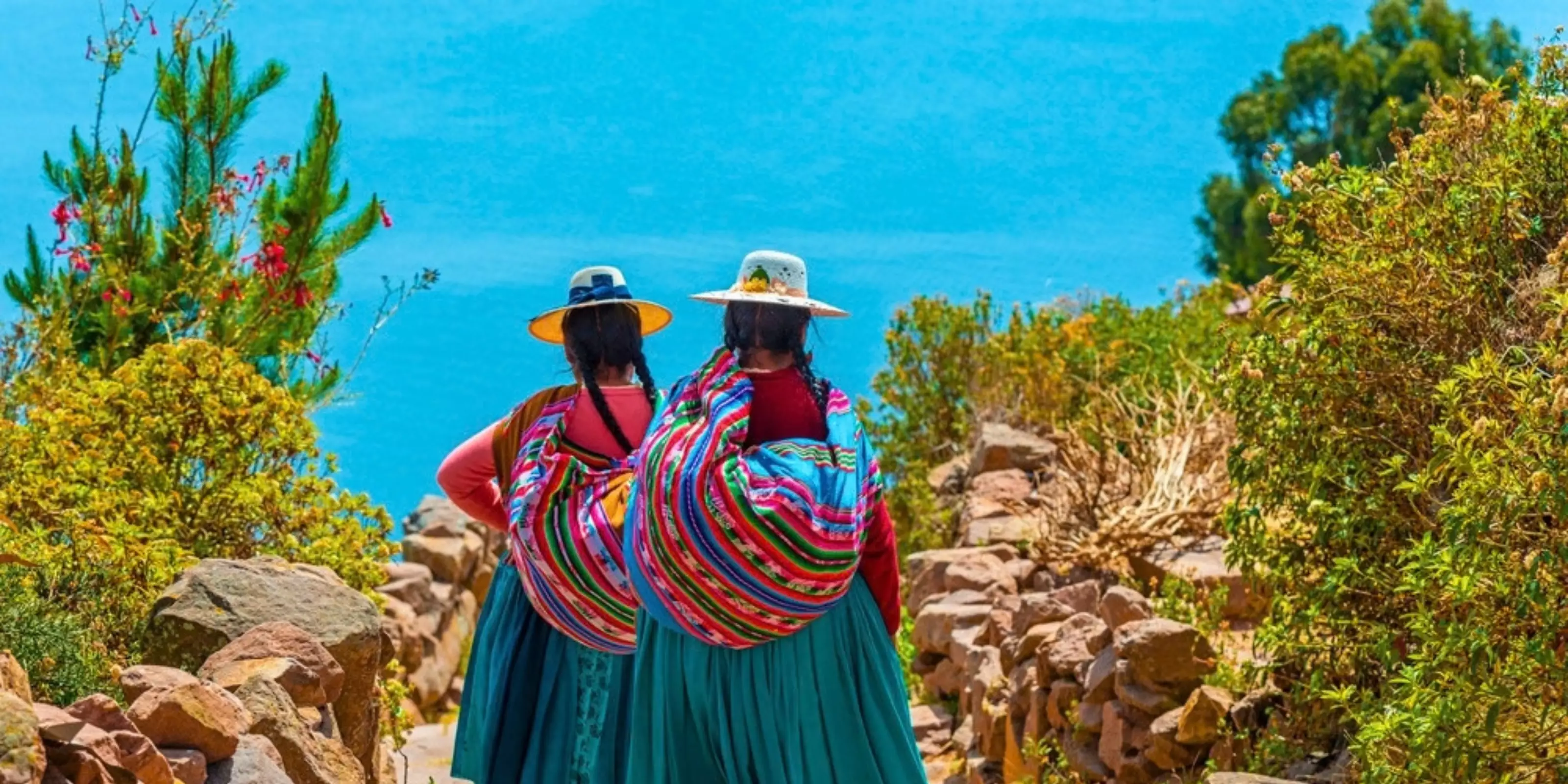 NEW Latin America 2027-28 Brochure Out Now