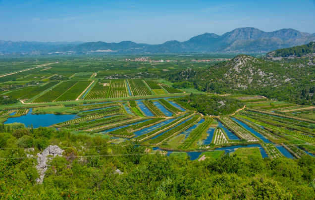 Day 13:  Neretva Valley