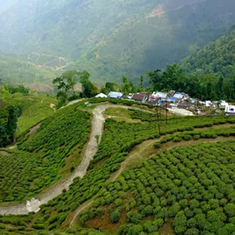 Discover Darjeeling