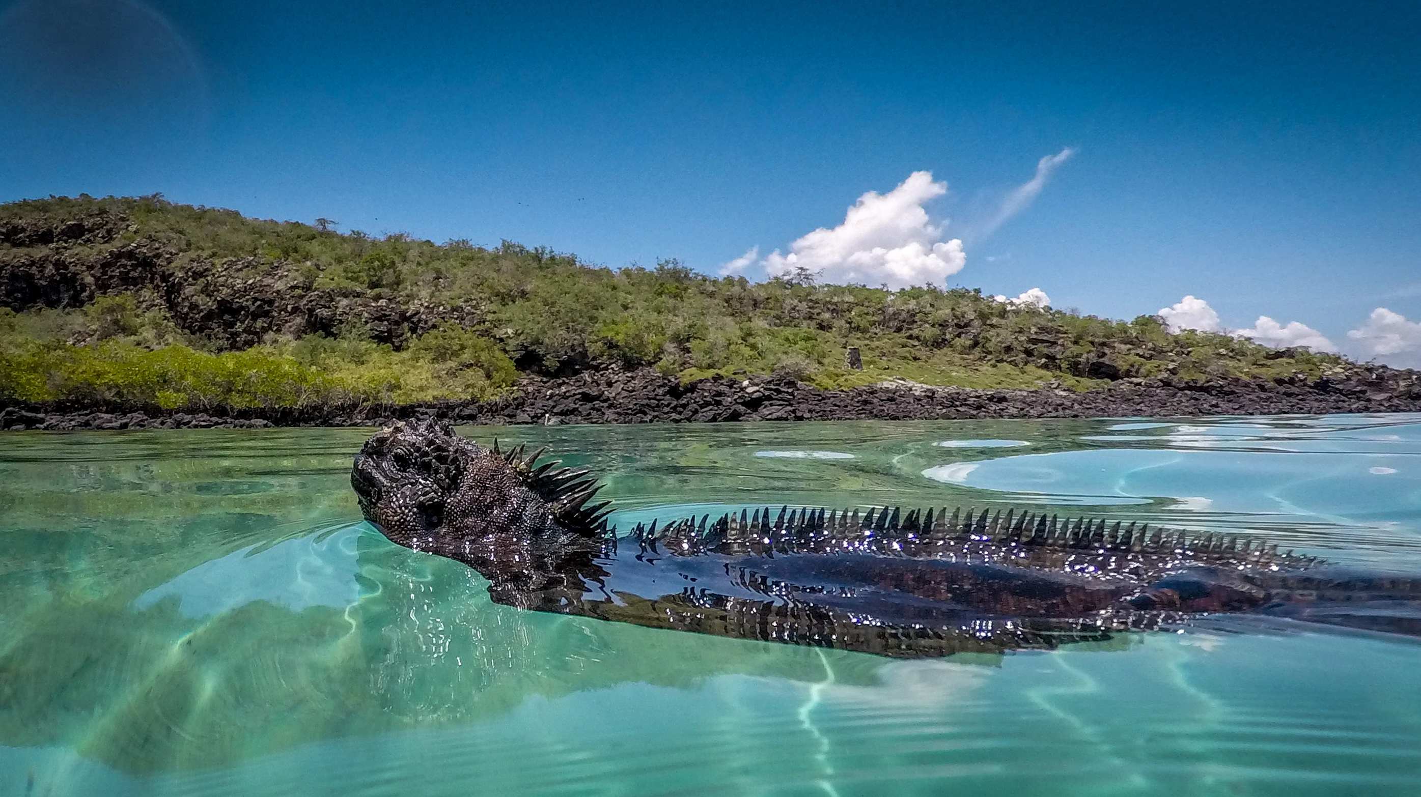 Galapagos by Sea
