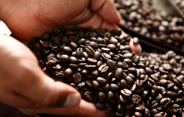 Day 4: Coffee Experience