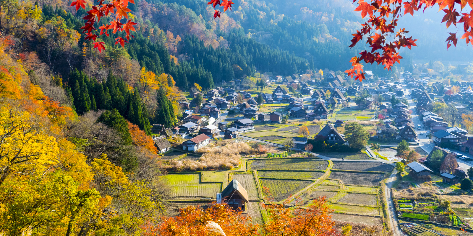 Discover Japan
