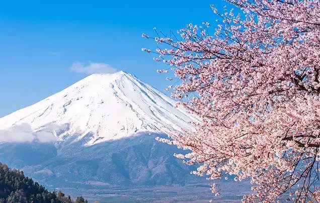 DAY 4: Mount Fuji