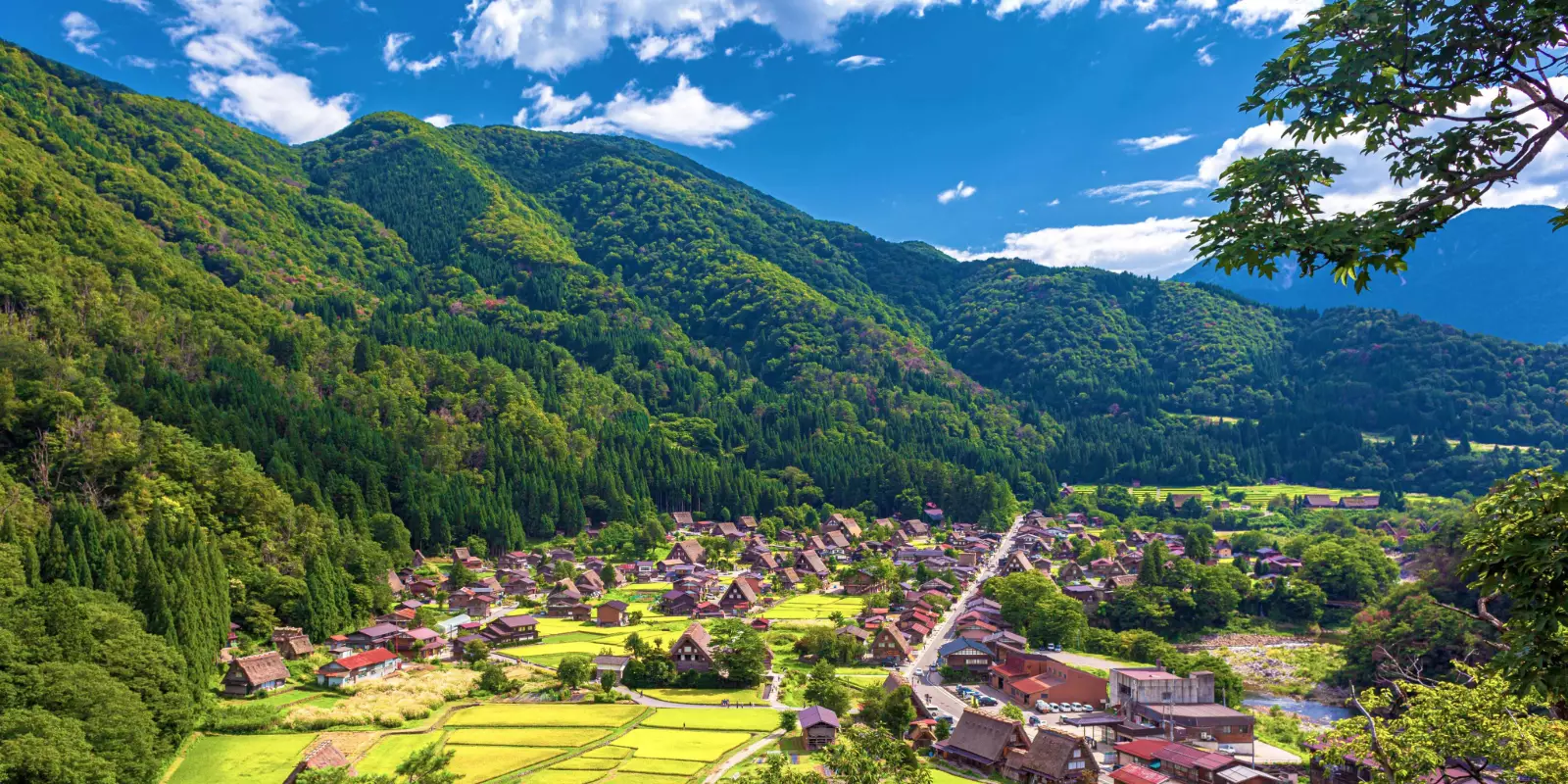 Discover Japan